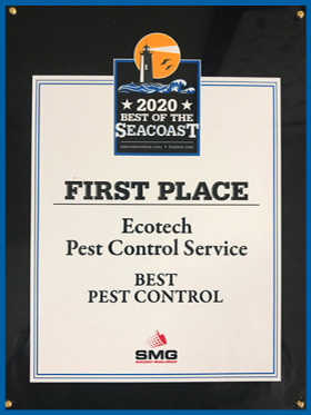 Best Pest Control - Best of the Seacoast 2020